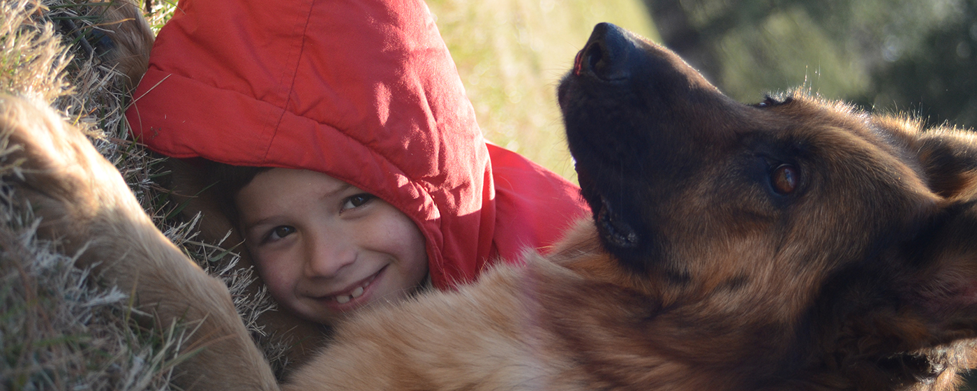 german shepherd with kids family dog